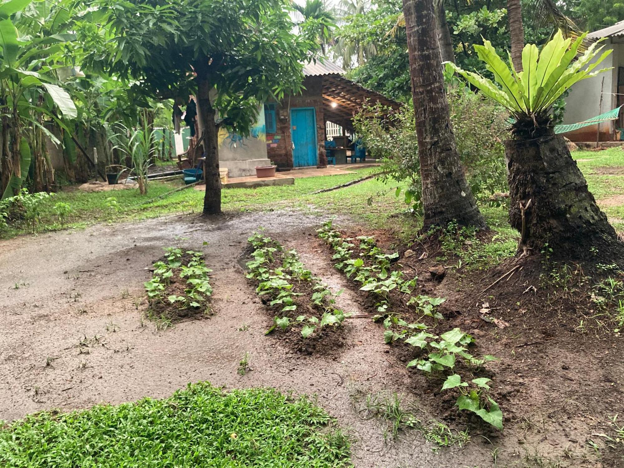 Chill House Hostel Anuradhapura Exterior photo