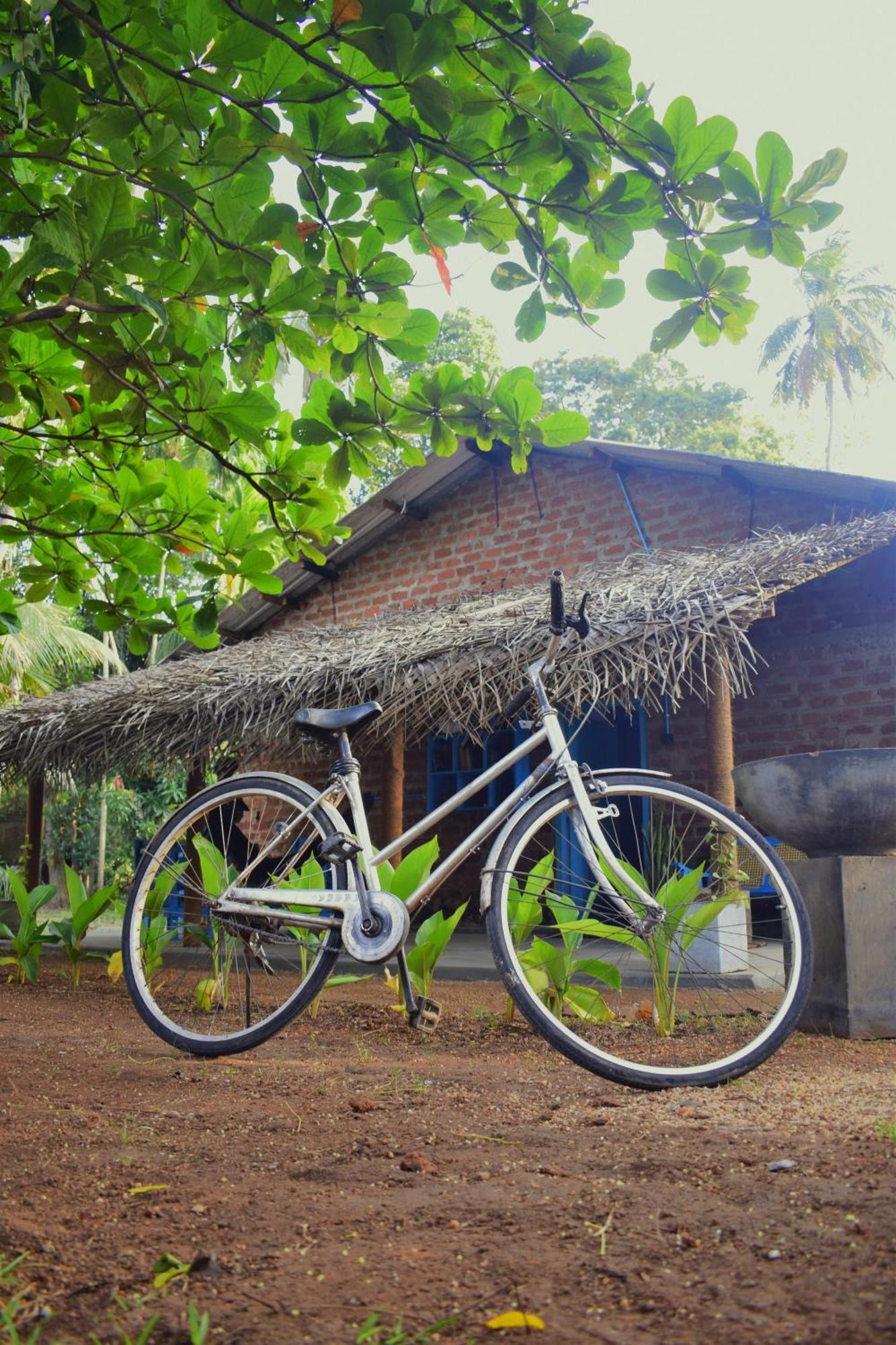 Chill House Hostel Anuradhapura Exterior photo